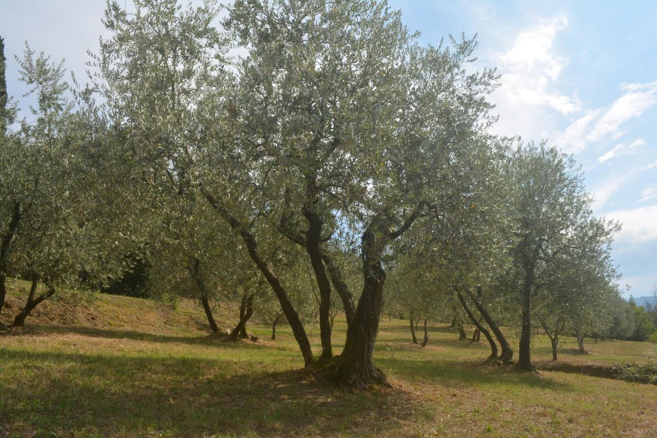 Podere Delle Fanciulle Pistoia Exterior foto
